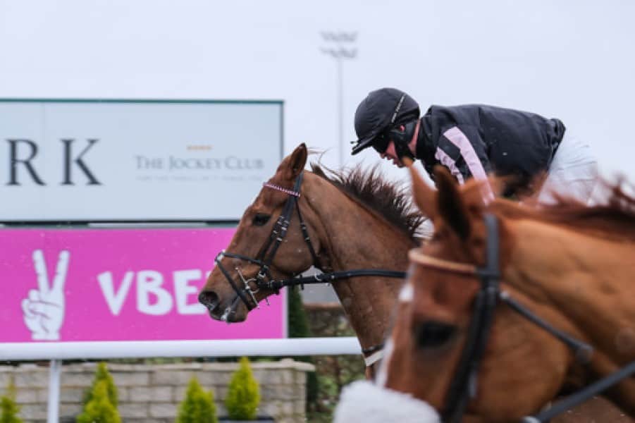 Balco Coastal shines on VBET Day at Kempton