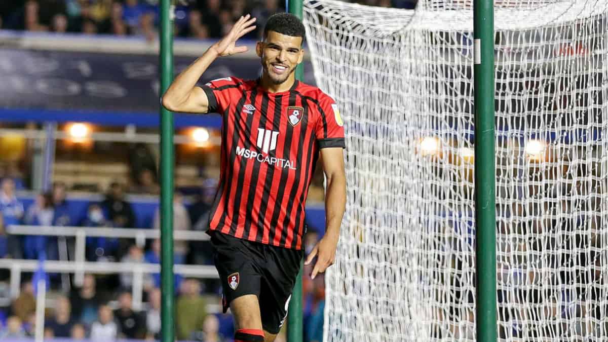 Доминик Соланке в составе «Борнмута» (фото - AFC Bournemouth via Getty Images)